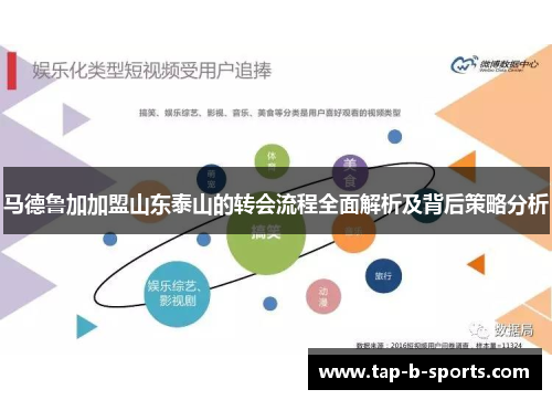 马德鲁加加盟山东泰山的转会流程全面解析及背后策略分析