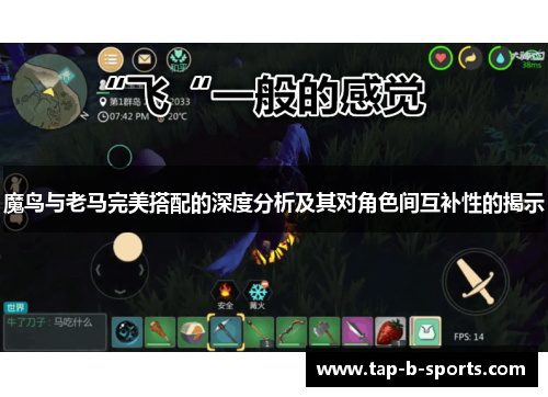 魔鸟与老马完美搭配的深度分析及其对角色间互补性的揭示