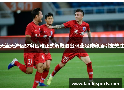天津天海因财务困难正式解散退出职业足球赛场引发关注 天津天海因财务困难正式解散退出职业足球赛场引发关注