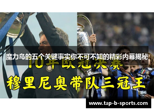 魔力鸟的五个关键事实你不可不知的精彩内幕揭秘